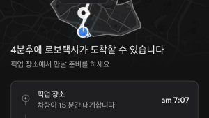 테슬라, 로보택시 동적 가격 책정 도입…경쟁사보다 훨씬 저렴