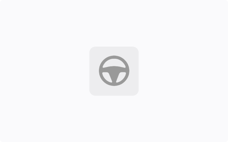 공원에서 FSD(감독) 시작