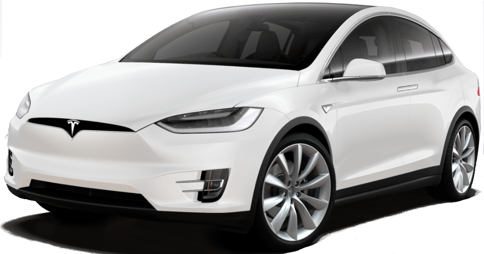Model X Raven